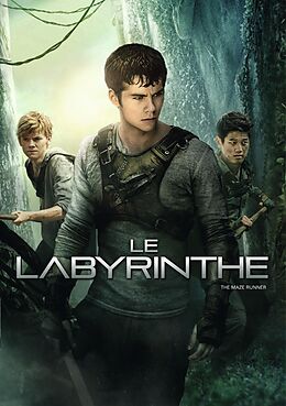 Le Labyrinthe DVD