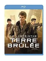 Le Labyrinthe : La Terre Brulee Blu-ray