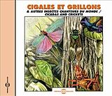  Cigales et grillons et autres insectes chanteurs du monde von Jean C.; Thévenet, Jean Roché