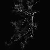 Jarboe LP (analog) Illusory