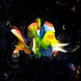 Flavien Berger LP (analog) Contrebande 02. Le Disque De L Ete