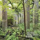 Mathias Delplanque Vinyl Ô Seuil