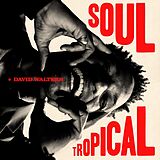 David Walters Vinyl Soul Tropical (gatefold)