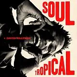 David Walters LP (analog) Soul Tropical (gatefold)