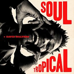 David Walters Vinyl Soul Tropical (gatefold)