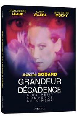 Grandeur et décadence d'un petit commerce de cinéma DVD