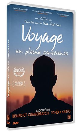 Voyage en pleine conscience DVD