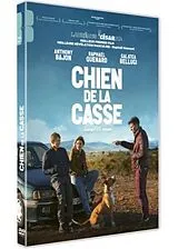 Chien de la casse DVD