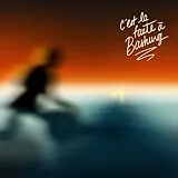 Various Artists CD C'est La Faute À Bashung