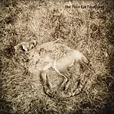 The Third Eye Foundation CD Semetex