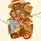 The Brooks LP (analog) Soon As I Can