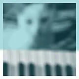 Peter Broderick LP (analog) Piano Works 1 (floating In Tucker S Basement)