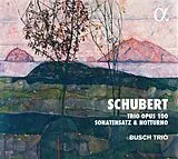 Busch Trio CD Trio Opus 100/Sonatensatz/Notturno