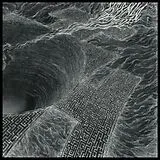 Saturnalia Temple Vinyl To The Other