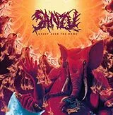 Sanzu Vinyl Heavy Over the Home