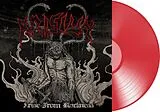 Krisiun Vinyl Arise From Blackness (red)
