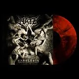 HATE LP (analog) Anaclasis: A Haunting Gospel Of Malice & Hatred (f