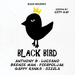 City Kay Pres. Various Artists Vinyl Black Bird Riddim (lim.ed.)