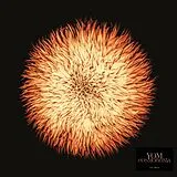Yom Vinyl Cosmogonia (Vinyl)