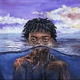 Redveil LP (analog) Learn 2 Swim (black Vinyl)