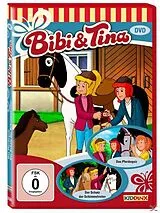 Das Pferdequiz/Der Schatz der Schimmelreiter DVD