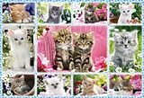 Katzenbabies (Kinderpuzzle) Spiel