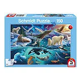 Tiere in der Arktis Spiel