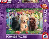 Süsse Welpenszene Spiel