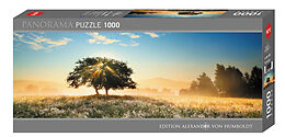 Play of Light Puzzle Spiel