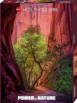 Singing Canyon Puzzle Spiel