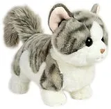 Heunec 291973 - MISANIMO Short Legs Club Kätzchen, Katze, Plüschtier, 35 cm Spiel