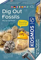Dig Out Fossils/Fossilien Spiel