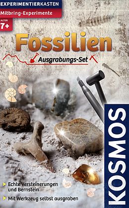 Fossilien (Experimentierkasten) Spiel