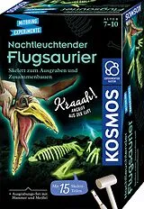 Nachtleuchtender Flugsaurier Spiel