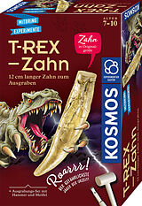 T-rex - Zahn Spiel