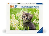 Kätzchen in der Wiese Puzzle Spiel