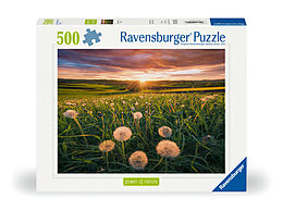 Pusteblumen im Sonnenuntergang Puzzle Spiel