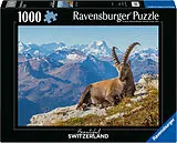 Steinbock im Toggenburg Spiel