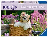 Erwachsenenpuzzle 100 XL-Teile - Süßer kleiner Hund Spiel