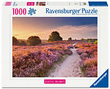 Traumpfad in Rosa Spiel