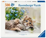 Erwachsenenpuzzle 500 Teile - Süßes Kätzchen Spiel
