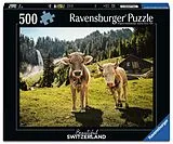 Schweizer Kühe Spiel