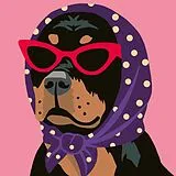 CreArt Adults Trend - Stylischer Hund Spiel