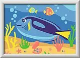 CreArt - Malen nach Zahlen - Bunter Doktorfisch Spiel