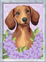 Dackel Lilac Spiel