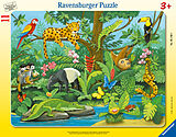 Ravensburger Kinderpuzzle - 05140 Tiere im Regenwald - Rahmenpuzzle für Kinder ab 3 Jahren, mit 11 Teilen Spiel