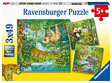 Im Urwald Kinderpuzzle Spiel
