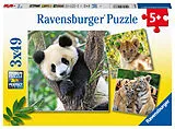 Panda, Tiger und Löwe Kinderpuzzle Spiel