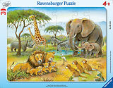 Ravensburger Kinderpuzzle - 06146 Afrikas Tierwelt - Rahmenpuzzle für Kinder ab 4 Jahren, mit 30 Teilen Spiel