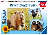Liebe Pferde Kinderpuzzle Spiel